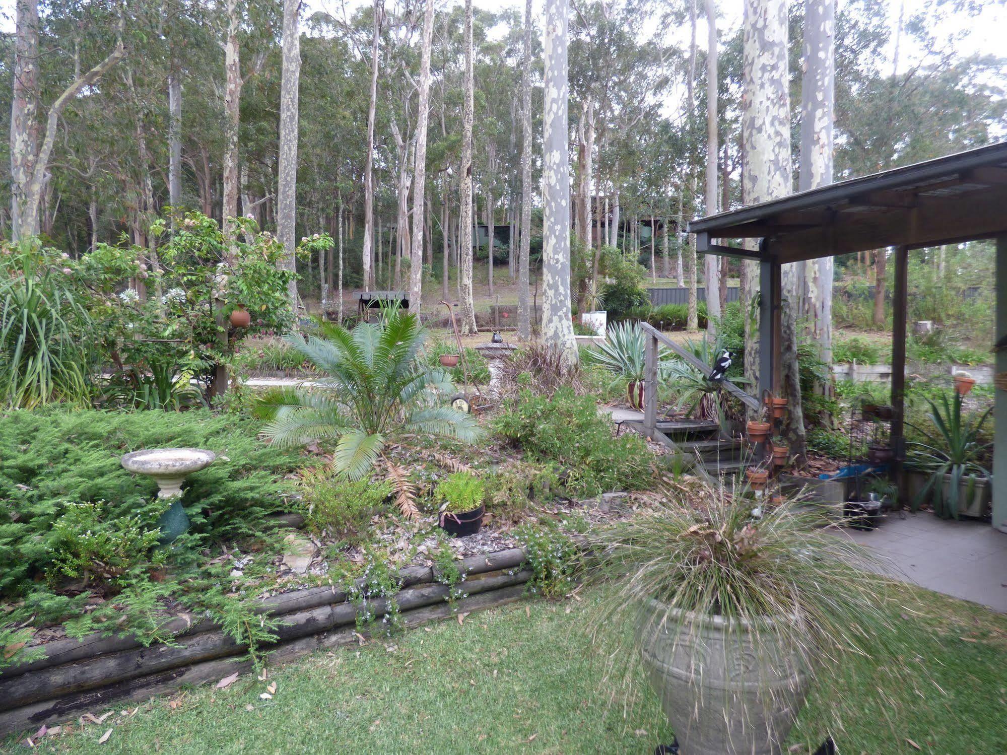 Werekataba Apartment Mount Hutton Luaran gambar